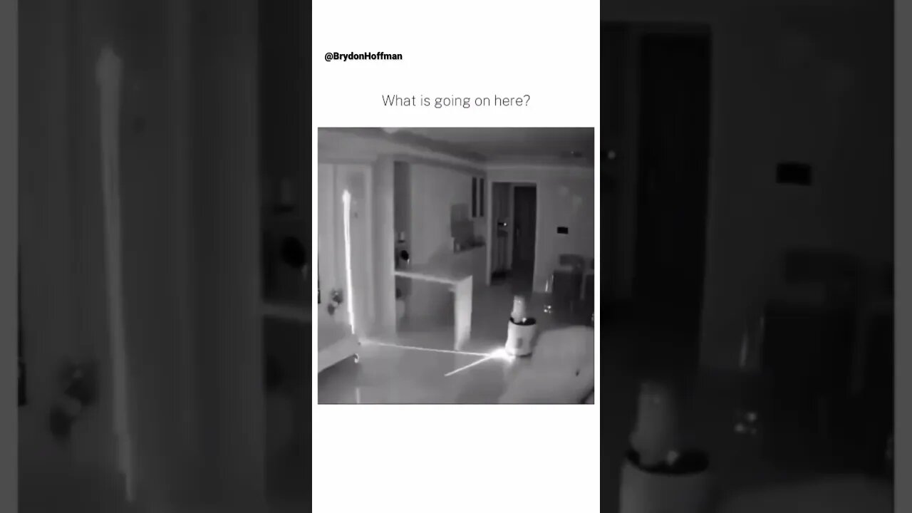 Funny Cat Meme 😂 pt.32 #shorts