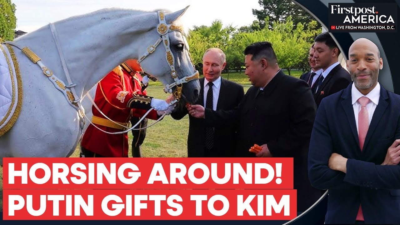 After Limousine and Dogs, Kim Jong Un Receives Purebred Horses from Russia | Firstpost America