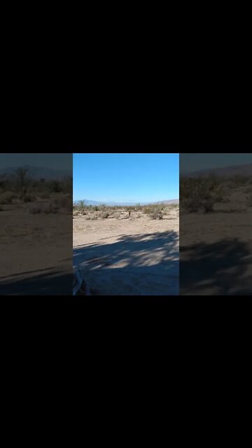 Themistocles saved the people of Athens with a suggestion.