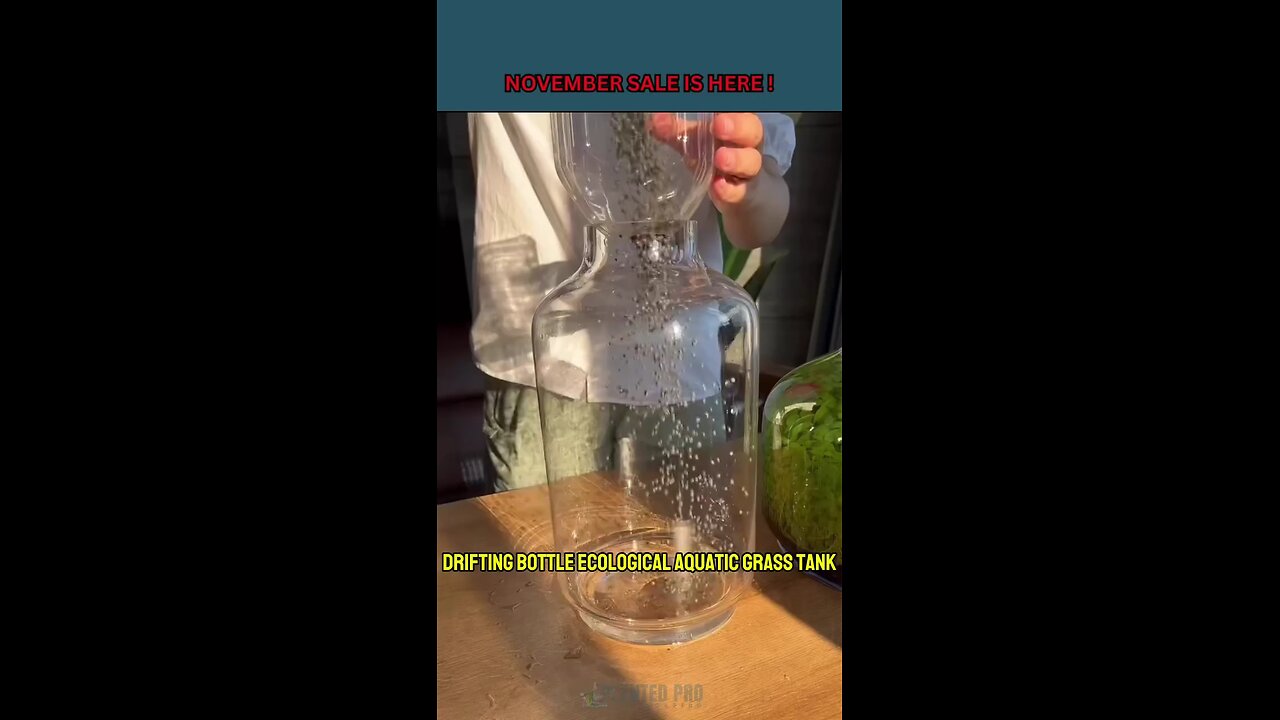 Drifting Bottle Ecological Aquatic Grass Tank [Video] [Video] in 2024 | Terrarium decor, Light bulb