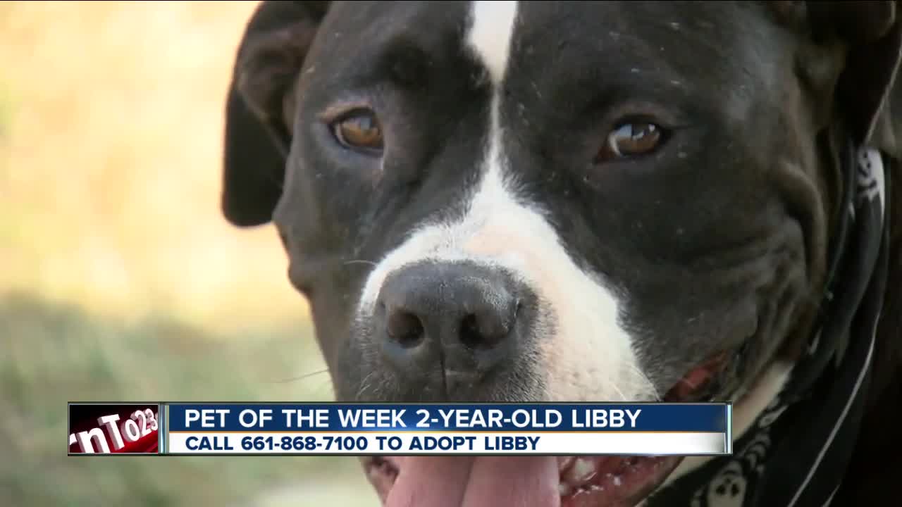 Pet of the Week: Libby