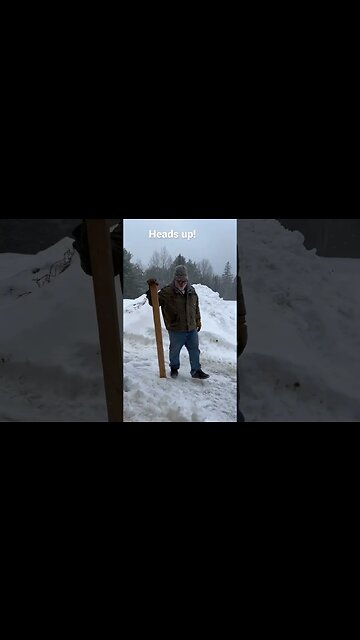 Better look out! #shortsfeed