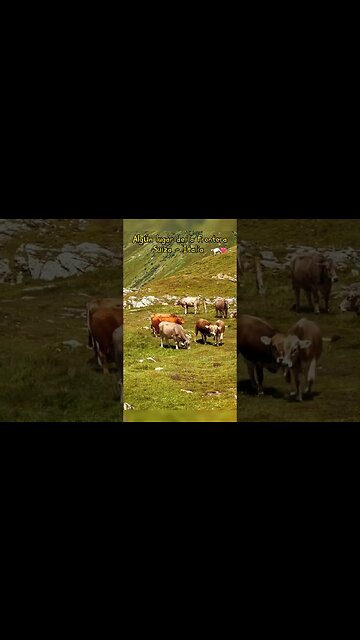 En algún lugar de la Frontera entre Suiza e Italia