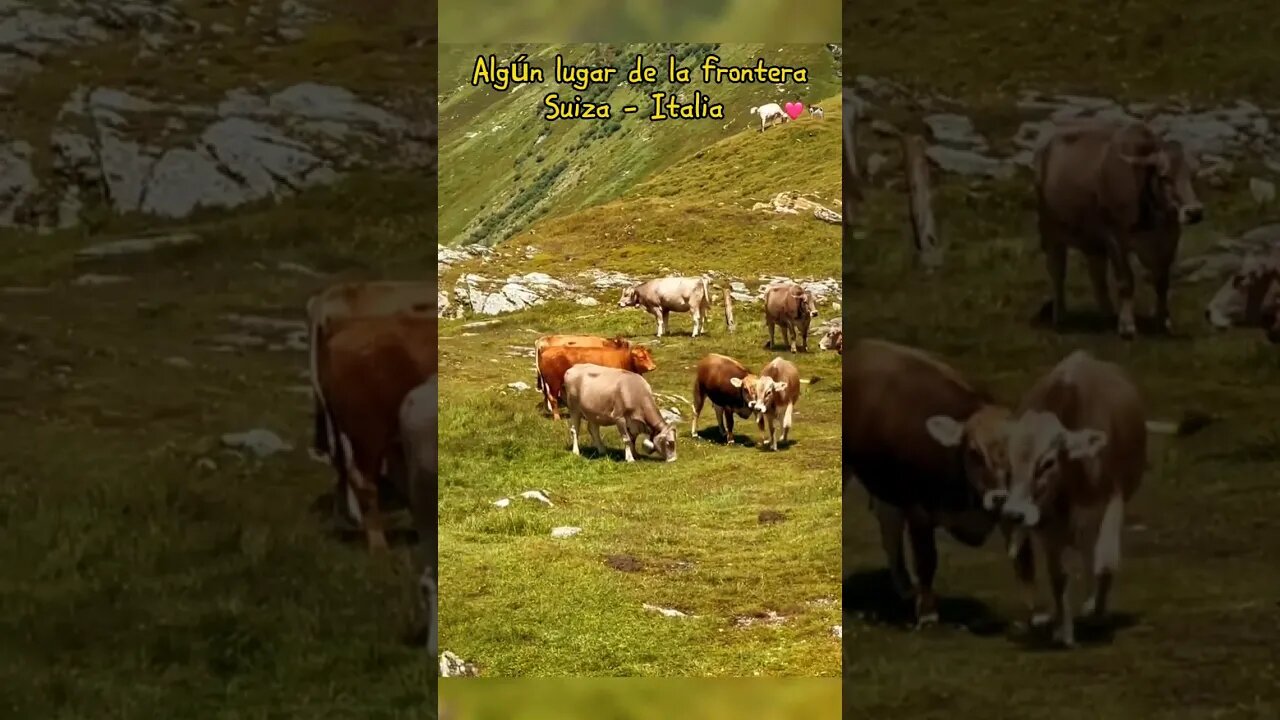 En algún lugar de la Frontera entre Suiza e Italia