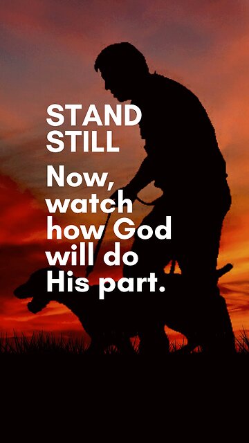 Divine Timing: Trusting God's Plan