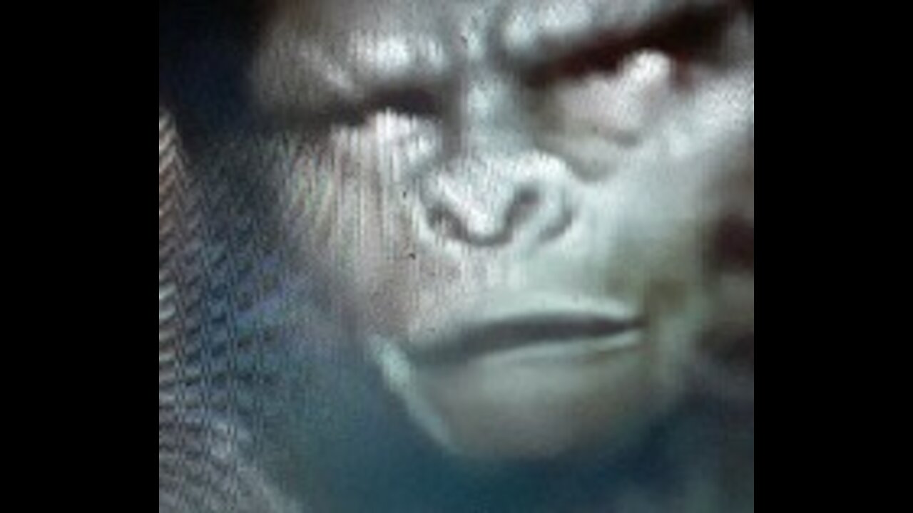 Alex Jones Full Show (11/10/2021)