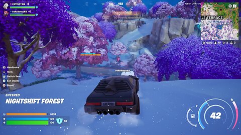 Fortnite winterfest