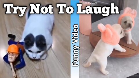 Funny Cats & Dogs Video Compilation | TRY NOT TO LAUGH 😂