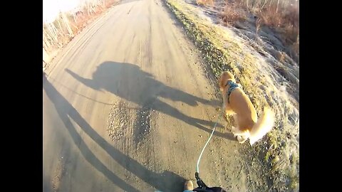 April 28th, 27º and frost! Flynn and I see deer track by power lines.