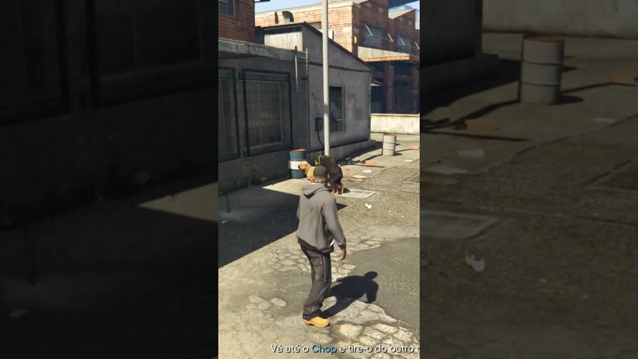 Chop foi se "divertir" - GTA 5 - Chop went to have "fun"