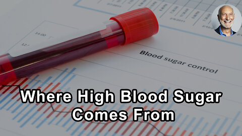 Where High Blood Sugar Comes From - Michael Klaper, MD - Interview