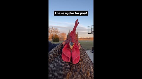 I have a joke.