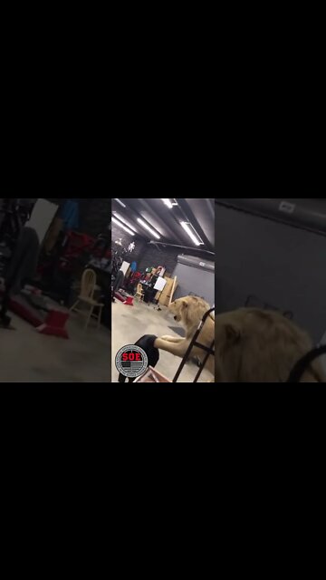 #marinecorps #birthday #usmc #shorts #youtubeshorts