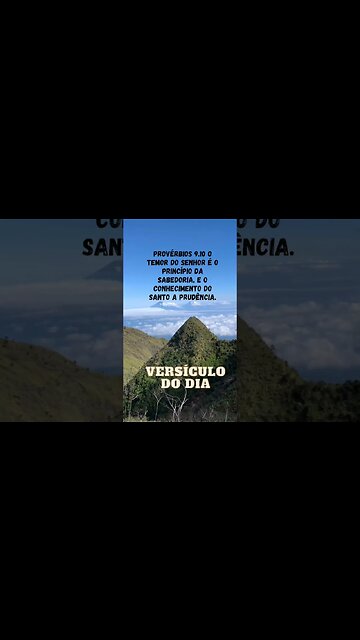 VERSÍCULO DO DIA 17/01/2023.#shorts