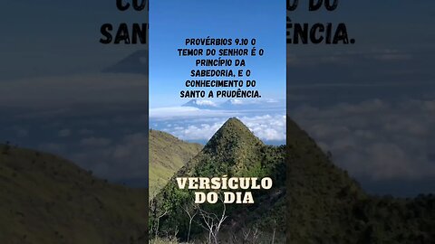 VERSÍCULO DO DIA 17/01/2023.#shorts