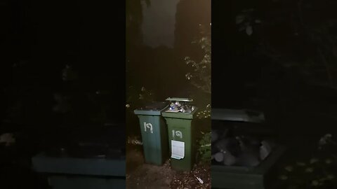 very early morning 🌄 view enjoy 😉