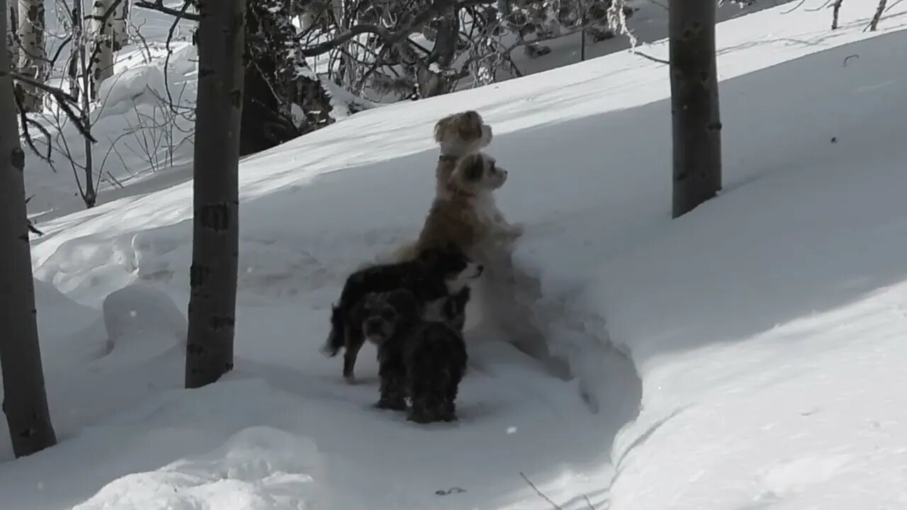 Life In The Real World