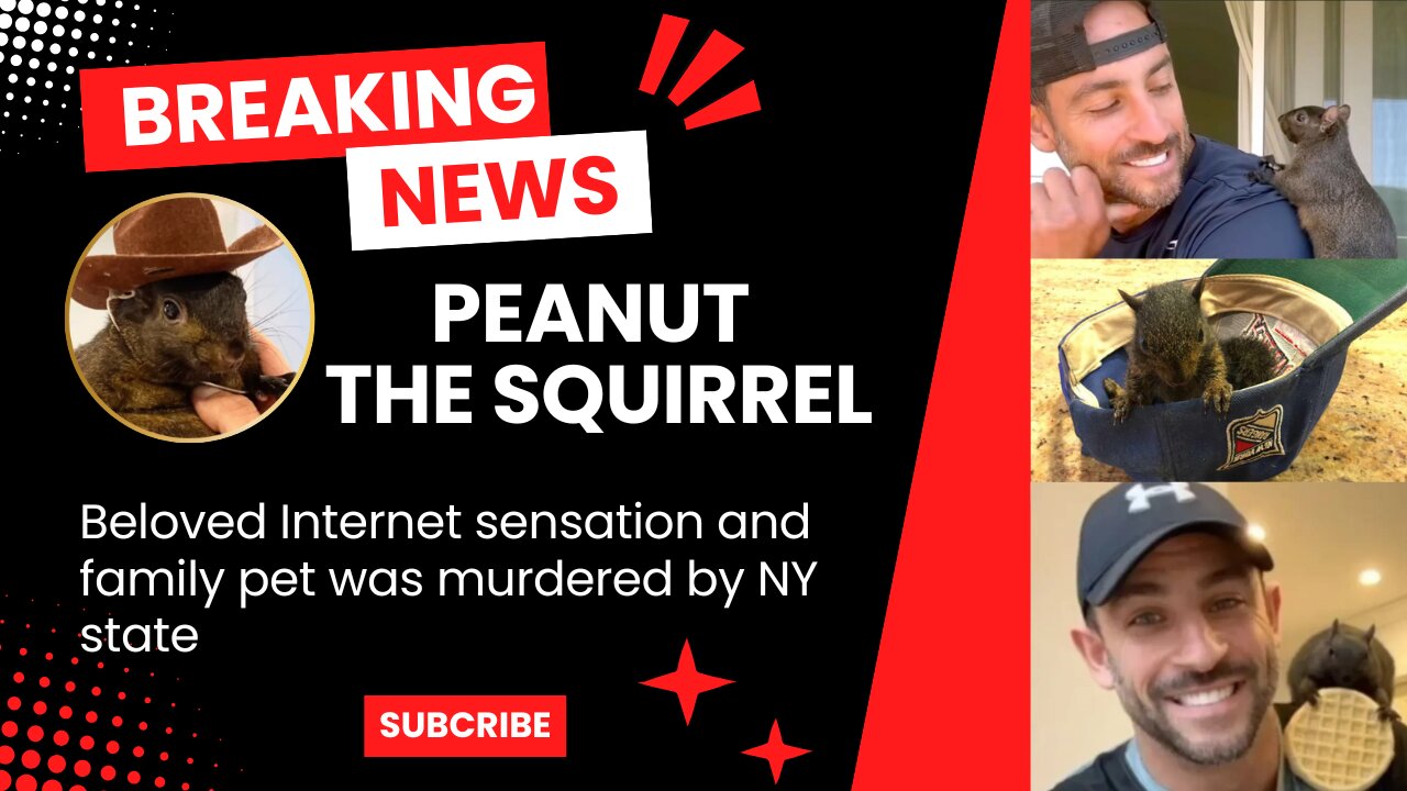 Beloved Internet sensation and family pet was murdered by NY state