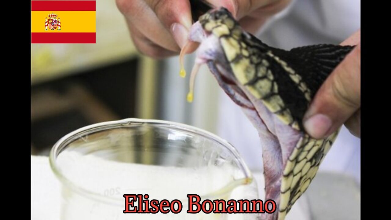 CÓMO LAS SERPIENTES MATAN A LOS HUMANOS.