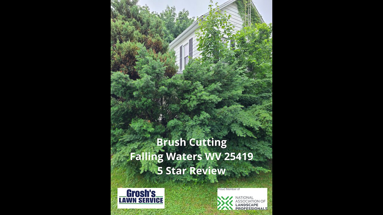 Brush Cutting Falling Waters WV Review 5 Star Video