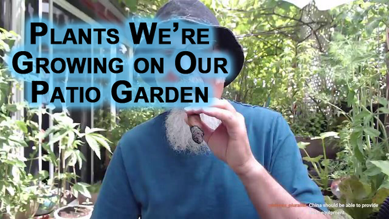 Some of the Plants We’re Growing on Our Patio Garden