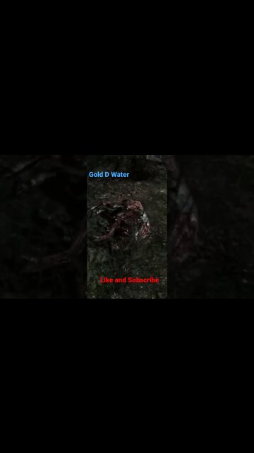 How to get into the Cathedral