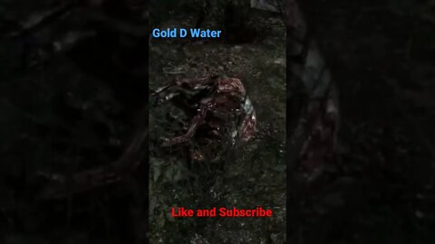 How to get into the Cathedral