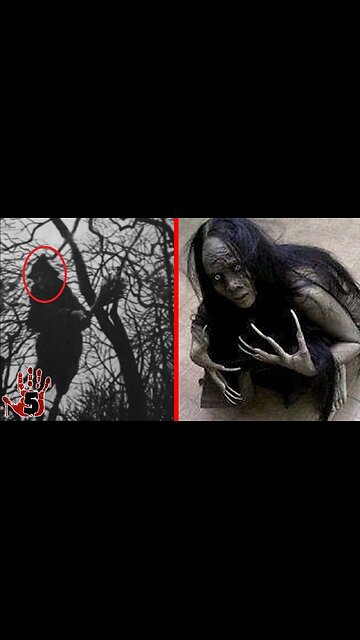 do you believe in WITCHES #witches #scary #fyp #mystery #LearnOnTikTok