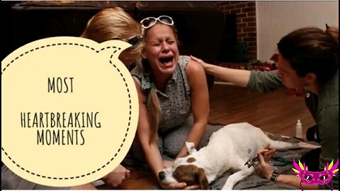 Last moment of dying dog and owners| Emotional moments