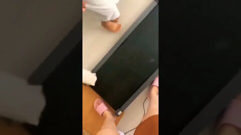 Smol wonder wants to run on a treadmill...🐈🐾😅 #shorts
