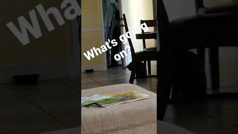 He snuck in thru the back door
