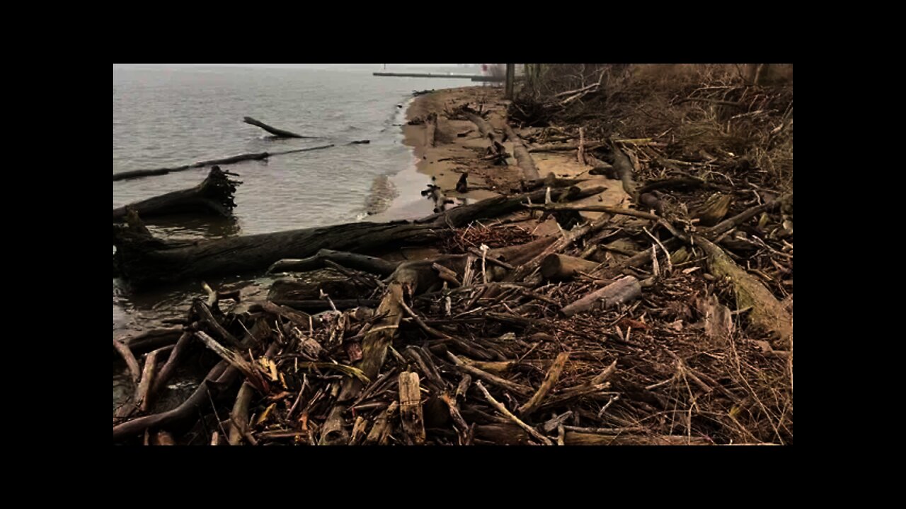 RICE DIET CHALLENGE updates | walk at Lake Erie | Podcast Style