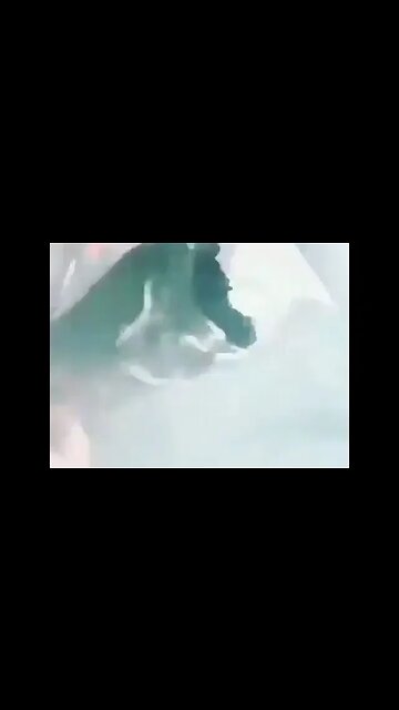 Hot Boxing🌿Like A Boss🔥💥😎