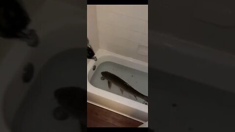 Me and fish