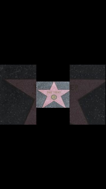 Tina Turner From Nutbush To The Hollywood Walk Of Fame #shorts #tinaturner #music #rock