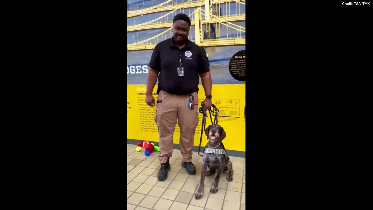 Pennsylvania K-9 Gets Retirement Party With Toys And Treats