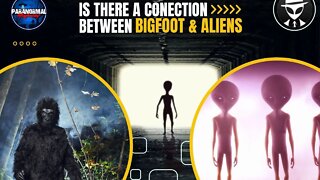 Is There a Connection Between Bigfoot and Aliens?