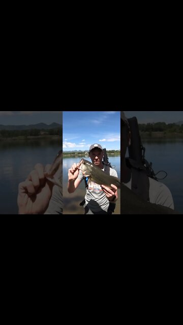 Personal best largemouth bass fishing in Colorado