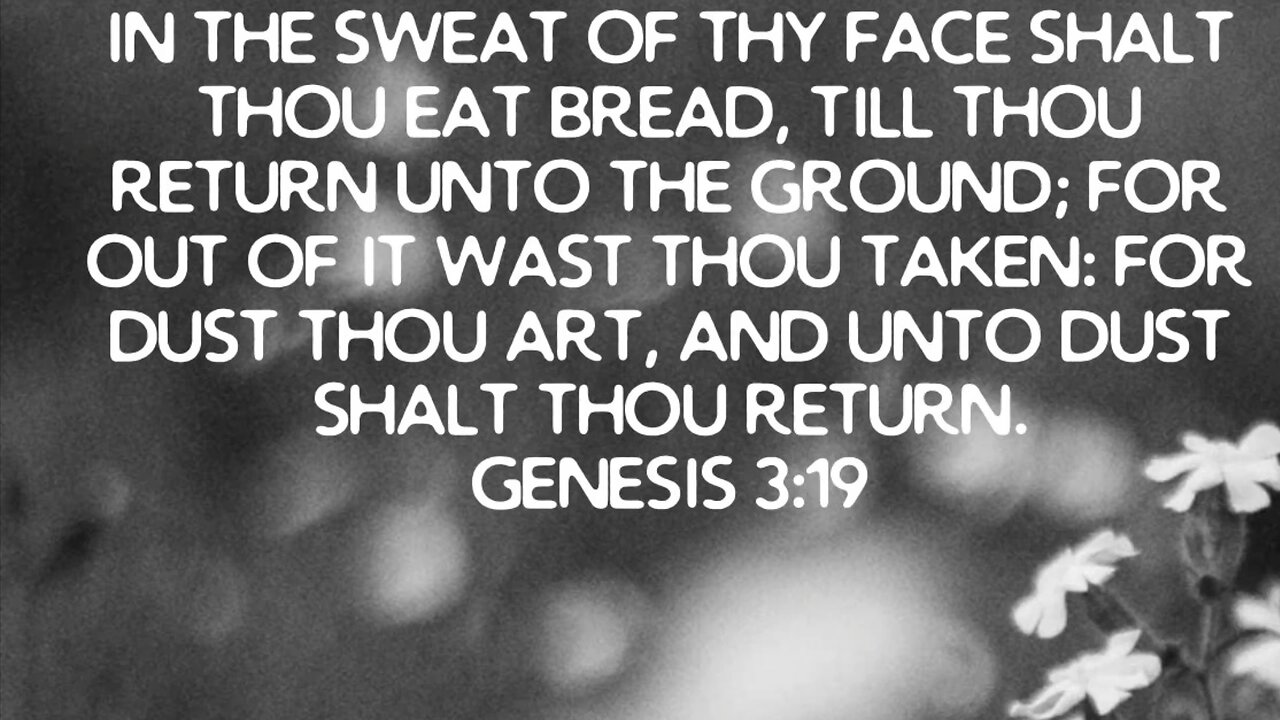 Turning beef suet into tallow