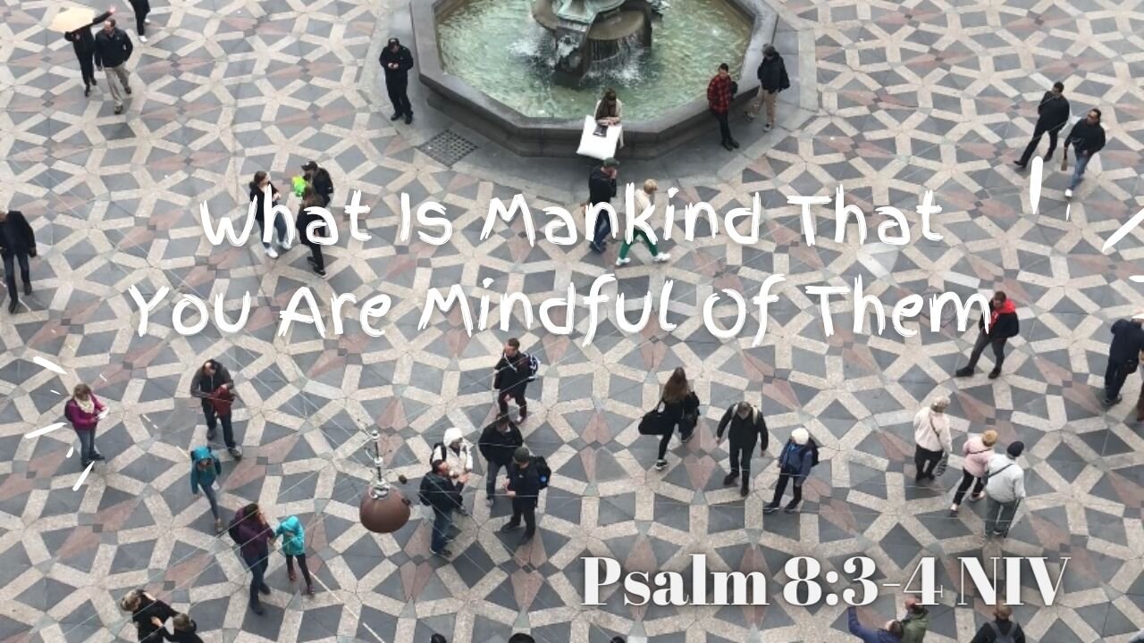 What Is Mankind That You Are Mindful of them? - Psalm 8:3-4 NIV