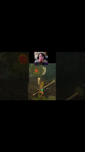 BOMB STICKs Explode Apparently | Zelda Tears of the Kingdom Stream Clip