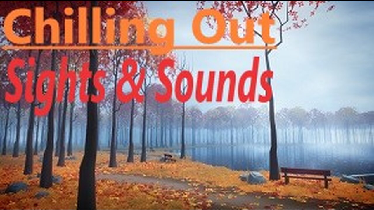 Nature Sounds, Jazz Music, Bird Sounds, Relaxing Mesmerizing Bonfire Lake Trees Clouds Ambience