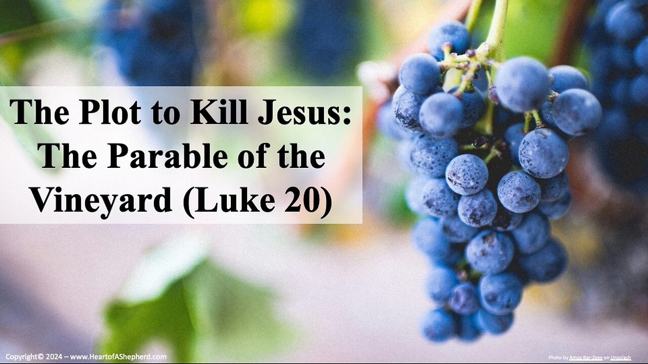 The Plot to Kill Jesus: The Parable of the Vineyard (Luke 20)