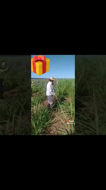 a mulheres linda vai trabalhar #shorts