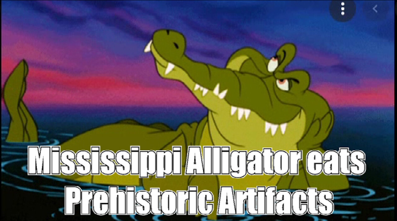 Mississippi Alligator eats Prehistoric Artifacts News Of The Bizarre