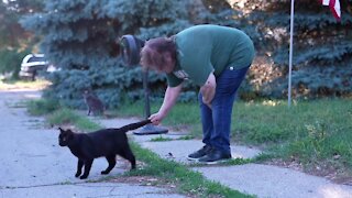 There are people in the community who have grown to love these cats as much as Brockmiller does.