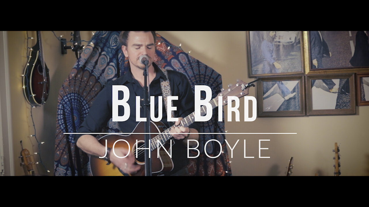 John Boyle. Blue Bird. (Original Song)