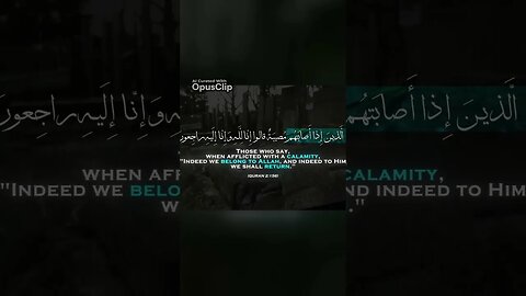 Embracing Brotherhood Uniting Hearts through TikTok