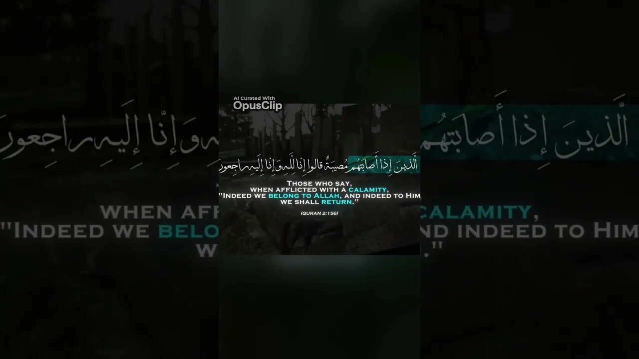 Embracing Brotherhood Uniting Hearts through TikTok