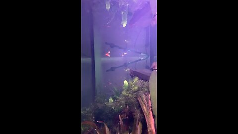 Feeding time 10.19.2022